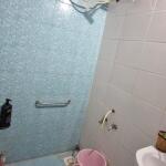 1 BHK Flat for Rent