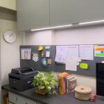 2 BHK Flat  For Rent