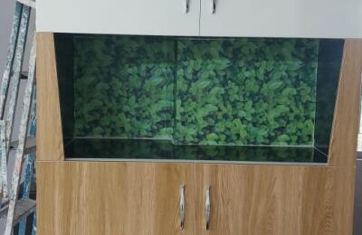 🏠 1BHK Low Rise Apartment – For Rent