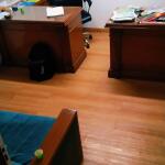 🏢 Semi-Furnished Office Space for Rent