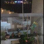 🏠 3BHK High-Rise Semi-Furnished Apartment for Rent